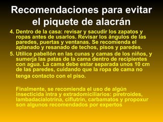 4. Dentro de la casa: revisar y sacudir los zapatos y
ropas antes de usarlos. Revisar los ángulos de las
paredes, puertas y ventanas. Se recomienda el
aplanado y resanado de techos, pisos y paredes.
5. Utilice pabellón en las cunas y camas de los niños, y
sumerja las patas de la cama dentro de recipientes
con agua. La cama debe estar separada unos 10 cm
de las paredes, cuidando que la ropa de cama no
tenga contacto con el piso.
Finalmente, se recomienda el uso de algún
insecticida intra y extradomiciliarios: piretroides,
lambadacialotrina, ciflutrin, carbamatos y propoxur
son algunos recomendados por expertos
Recomendaciones para evitar
el piquete de alacrán
 