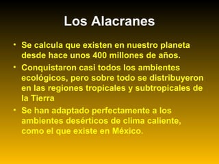 Los Alacranes
• Se calcula que existen en nuestro planeta
desde hace unos 400 millones de años.
• Conquistaron casi todos los ambientes
ecológicos, pero sobre todo se distribuyeron
en las regiones tropicales y subtropicales de
la Tierra
• Se han adaptado perfectamente a los
ambientes desérticos de clima caliente,
como el que existe en México.
 