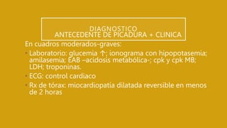 DIAGNOSTICO
ANTECEDENTE DE PICADURA + CLINICA
En cuadros moderados-graves:
• Laboratorio: glucemia ↑; ionograma con hipopotasemia;
amilasemia; EAB –acidosis metabólica-; cpk y cpk MB;
LDH; troponinas.
• ECG: control cardiaco
• Rx de tórax: miocardiopatía dilatada reversible en menos
de 2 horas
 