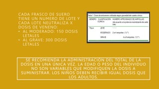 SE RECOMIENDA LA ADMINISTRACIÓN DEL TOTAL DE LA
DOSIS EN UNA ÚNICA VEZ. LA EDAD O PESO DEL INDIVIDUO
NO SON VARIABLES QUE MODIFIQUEN LA DOSIS A
SUMINISTRAR. LOS NIÑOS DEBEN RECIBIR IGUAL DOSIS QUE
LOS ADULTOS.
CADA FRASCO DE SUERO
TIENE UN NUMERO DE LOTE Y
CADA LOTE NEUTRALIZA X
DOSIS DE VENENO:
• AL MODERADO: 150 DOSIS
LETALES
• AL GRAVE: 300 DOSIS
LETALES
 