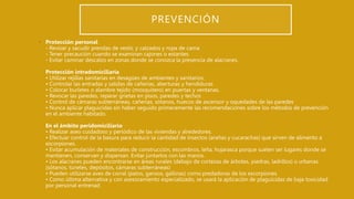 PREVENCIÓN
• Protección personal
- Revisar y sacudir prendas de vestir, y calzados y ropa de cama
- Tener precaución cuando se examinan cajones o estantes.
- Evitar caminar descalzo en zonas donde se conozca la presencia de alacranes.
Protección intradomiciliaria
• Utilizar rejillas sanitarias en desagües de ambientes y sanitarios.
• Controlar las entradas y salidas de cañerías, aberturas y hendiduras
• Colocar burletes o alambre tejido (mosquitero) en puertas y ventanas.
• Revocar las paredes, reparar grietas en pisos, paredes y techos
• Control de cámaras subterráneas, cañerías, sótanos, huecos de ascensor y oquedades de las paredes
• Nunca aplicar plaguicidas sin haber seguido primeramente las recomendaciones sobre los métodos de prevención
en el ambiente habitado.
En el ámbito peridomiciliario
• Realizar aseo cuidadoso y periódico de las viviendas y alrededores.
• Efectuar control de la basura para reducir la cantidad de insectos (arañas y cucarachas) que sirven de alimento a
escorpiones.
• Evitar acumulación de materiales de construcción, escombros, leña, hojarasca porque suelen ser lugares donde se
mantienen, conservan y dispersan. Evitar juntarlos con las manos.
• Los alacranes pueden encontrarse en áreas rurales (debajo de cortezas de árboles, piedras, ladrillos) o urbanas
(sótanos, túneles, depósitos, cámaras subterráneas)
• Pueden utilizarse aves de corral (patos, gansos, gallinas) como predadoras de los escorpiones
• Como última alternativa y con asesoramiento especializado, se usará la aplicación de plaguicidas de baja toxicidad
por personal entrenad
 
