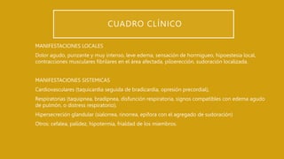 CUADRO CLÍNICO
MANIFESTACIONES LOCALES
Dolor agudo, punzante y muy intenso, leve edema, sensación de hormigueo, hipoestesia local,
contracciones musculares fibrilares en el área afectada, piloerección, sudoración localizada.
MANIFESTACIONES SISTEMICAS
Cardiovasculares (taquicardia seguida de bradicardia, opresión precordial),
Respiratorias (taquipnea, bradipnea, disfunción respiratoria, signos compatibles con edema agudo
de pulmón, o distress respiratorio),
Hipersecreción glandular (sialorrea, rinorrea, epifora con el agregado de sudoración)
Otros: cefalea, palidez, hipotermia, frialdad de los miembros.
 