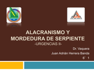 ALACRANISMO Y MORDEDURA DE SERPIENTE -URGENCIAS II- Dr. Vaquera Juan Adrián Herrera Banda 6°1 