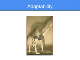 Adaptability
 