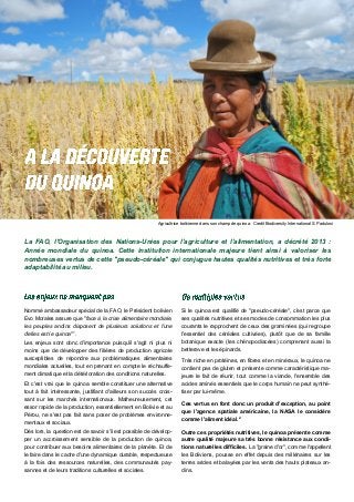 Nommé ambassadeur spécial de la FAO, le Président bolivien
Evo Morales assure que "face à la crise alimentaire mondiale,
les peuples andins disposent de plusieurs solutions et l'une
d'elles est le quinoa"1
.
Les enjeux sont donc d'importance puisqu'il s'agit ni plus ni
moins que de développer des filières de production agricole
susceptibles de répondre aux problématiques alimentaires
mondiales actuelles, tout en prenant en compte le réchauffe-
ment climatique et la détérioration des conditions naturelles.
Et c'est vrai que le quinoa semble constituer une alternative
tout à fait intéressante, justifiant d'ailleurs son succès crois-
sant sur les marchés internationaux. Malheureusement, cet
essor rapide de la production, essentiellement en Bolivie et au
Pérou, ne s'est pas fait sans poser de problèmes environne-
mentaux et sociaux.
Dès lors, la question est de savoir s'il est possible de dévelop-
per un accroissement sensible de la production de quinoa,
pour contribuer aux besoins alimentaires de la planète. Et de
le faire dans le cadre d'une dynamique durable, respectueuse
à la fois des ressources naturelles, des communautés pay-
sannes et de leurs traditions culturelles et sociales.
La FAO, l'Organisation des Nations-Unies pour l'agriculture et l'alimentation, a décrété 2013 :
Année mondiale du quinoa. Cette institution internationale majeure tient ainsi à valoriser les
nombreuses vertus de cette "pseudo-céréale" qui conjugue hautes qualités nutritives et très forte
adaptabilité au milieu.
Si le quinoa est qualifié de "pseudo-céréale", c'est parce que
ses qualités nutritives et ses modes de consommation les plus
courants le rapprochent de ceux des graminées (qui regroupe
l'essentiel des céréales cultivées), plutôt que de sa famille
botanique exacte (les chénopodiacées) comprenant aussi la
betterave et les épinards.
Très riche en protéines, en fibres et en minéraux, le quinoa ne
contient pas de gluten et présente comme caractéristique ma-
jeure le fait de réunir, tout comme la viande, l'ensemble des
acides aminés essentiels que le corps humain ne peut synthé-
tiser par lui-même.
Ces vertus en font donc un produit d'exception, au point
que l'agence spatiale américaine, la NASA le considère
comme l'aliment idéal.2
Outre ces propriétés nutritives, le quinoa présente comme
autre qualité majeure sa très bonne résistance aux condi-
tions naturelles difficiles. La "graine d'or", comme l'appellent
les Boliviens, pousse en effet depuis des millénaires sur les
terres arides et balayées par les vents des hauts plateaux an-
dins.
Agricultrice bolivienne dans son champ de quinoa. Credit Biodiversity International S. Padulosi
 