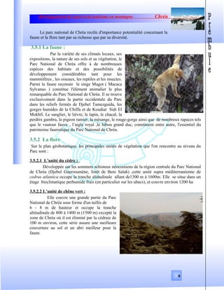 Développement de sport et de tourisme en montagne Chréa
Le parc national de Chréa recèle d'importance potentialité concernant la
faune et la flore tant par sa richesse que par sa diversité.
3.5.1 La faune :
Par la variété de ses climats locaux, ses
expositions, la nature de ses sols et sa végétation, le
Parc National de Chréa offre à de nombreuses
espèces des habitats et des possibilités de
développement considérables tant pour les
mammifères , les oiseaux, les reptiles et les insectes.
Parmi la faune recensée le singe Magot ( Macaca
Sylvanus ) constitue l'élément animalier le plus
remarquable du Parc National de Chréa. Il se trouve
exclusivement dans la partie occidentale du Parc
dans les reliefs fermés de Djebel Tamezguida, les
gorges humides de la Chiffa et de Koudiat Sidi El
Mokhfi. Le sanglier, le lièvre, le lapin, le chacal, la
perdrix gambra, le pigeon ramier, la mésange, le rouge-gorge ainsi que de nombreux rapaces tels
que le vautour fauve , l’aigle royal ,le hibou grand duc, constituent entre autre, l'essentiel du
patrimoine faunistique du Parc National de Chréa.
3.5.2 La flore
Sur le plan géobotanique, les principales unités de végétation que l'on rencontre au niveau du
Parc sont :
3.5.2.1 L’unité du cèdre :
Développée sur les sommets schisteux néocomiens de la région centrale du Parc National
de Chréa (Djebel Guerroumène, forêt de Beni Salah) ,cette unité supra méditerranéenne de
cedrus atlantica occupe la tranche altitudinale allant de1300 m à 1600m. Elle se situe dans un
étage bioclimatique perhumide frais (en particulier sur les ubacs), et couvre environ 1200 ha
3.5.2.2 L’unité de chêne vert :
Elle couvre une grande partie du Parc
National de Chréa sous forme d'un taillis de
6 - 8 m de hauteur et occupe la tranche
altitudinale de 800 à 1400 m (1500 m) excepté la
zone de Chréa où il est éliminé par la cédraie de
100 m environ, cette série assure une meilleure
couverture au sol et un abri meilleur pour la
faune.
9
 