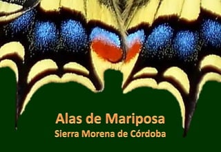 Alados