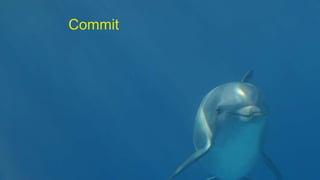 Commit
 