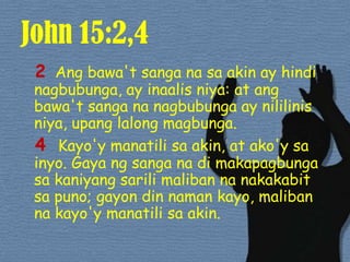 John 15:2,42Angbawa'tsanganasa akin ay hindinagbubunga, ay inaalisniya: at angbawa'tsangananagbubunga ay nililinisniya, upanglalongmagbunga.4 Kayo'ymanatilisa akin, at ako'ysainyo. Gaya ngsanganadimakapagbungasakaniyangsarilimalibannanakakabitsapuno; gayon din naman kayo, malibannakayo'ymanatilisa akin. 
