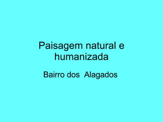 Paisagem natural e humanizada Bairro dos  Alagados  