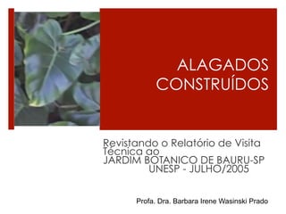 ALAGADOS
           CONSTRUÍDOS


Revistando o Relatório de Visita
Técnica ao
JARDIM BOTANICO DE BAURU-SP
         UNESP - JULHO/2005


      Profa. Dra. Barbara Irene Wasinski Prado
 