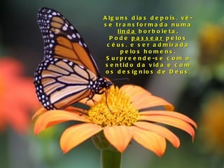 Alguns dias depois, vê-se transformada numa  linda  borboleta. Pode  passear  pelos céus, e ser admirada pelos homens. Surpreende-se com o sentido da vida e com os desígnios de Deus . 