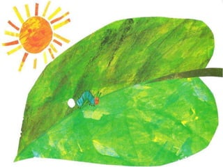 A lagartinha comilona