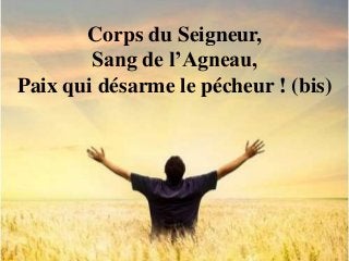 Corps du Seigneur,
Sang de l’Agneau,
Paix qui désarme le pécheur ! (bis)
 