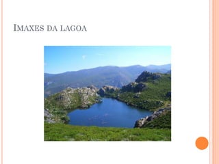 IMAXES DA LAGOA
 