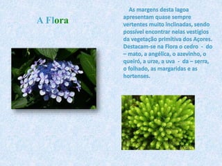 A Flora