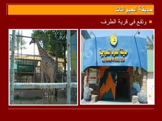 ‫حديقة الحيوانات‬
‫وتقع في قرية الطرف‬   ‫‪‬‬
 
