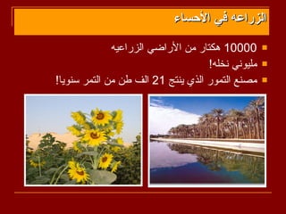 ‫الزراعه في الحساء‬

              ‫00001 هكتار من الراضي الزراعيه‬       ‫‪‬‬

                                    ‫مليوني نخله!‬   ‫‪‬‬

‫مصنع التمور الذي ينتج 12 الف طن من التمر سنويا!‬    ‫‪‬‬
 