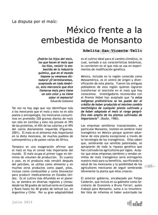 julio 2013
17
La disputa por el maíz:
México frente a la
embestida de Monsanto
Adelita San Vicente Tello
¿Podrán los hijos del maíz,
los que hacen el maíz que
los hizo, resistir la em-
bestida de la industria
química, que en el mundo
impone su venenosa dic-
tadura? ¿O terminaremos,
aceptando en toda Améri-
ca, esta mercancía que dice
llamarse maíz pero tiene
un solo color y no tiene
sabor ni memoria?
Eduardo Galeano
Tal vez no hay algo que nos identifique más
a los mexicanos que el maíz y esto no es sólo
poesía o antropología, los mexicanos consumi-
mos en promedio 328 gramos diarios de maíz
tan sólo en tortillas y esto nos provee el 39%
de las proteínas, el 45% de las calorías y el 49%
del calcio diariamente requerido (Figueroa,
2001). El maíz es el alimento más importante
en la dieta mexicana, de muchos pueblos de
Latinoamérica y de países varios de África.
Tampoco es una exageración afirmar que
el maíz es hoy el cereal más importante del
mundo. El maíz ocupa el primer lugar en tér-
minos de volumen de producción. En cuanto
a usos, es el producto más versátil después
del petróleo, se utiliza como alimento y en
muchos otros productos como papel, pilas,
incluso como combustible y como bioreactor
para producir medicamentos en Estados Uni-
dos. Es el cultivo más difundido en el plane-
ta, se siembra en diversas regiones y climas:
desde los 58 grados de latitud norte en Canadá
y Rusia hasta los 40 grados de latitud sur, en
Argentina y Chile. Por su gran adaptabilidad
es el cultivo ideal para el cambio climático, lo
cual, sumado a sus características botánicas,
lo convierten en el que más se usa en experi-
mentos de modificación genética.
México, incluido en la región conocida como
Mesoamérica, es el centro de origen y diver-
sificación de esta planta. Fueron los antiguos
pobladores de esta región quienes lograron
transformar el teocintle en el maíz que hoy
conocemos. Investigadores reconocidos con
el Premio Nobel han aceptado que “a estos
indígenas prehistóricos se les puede dar el
crédito de haber producido el máximo cambio
morfológico de cualquier planta cultivada y
de haber adaptado el maíz al rango geográ-
fico más amplio de las plantas cultivadas de
importancia”. (Badle, 1980).
Las empresas semilleras trasnacionales, en
particular Monsanto, insisten en sembrar maíz
transgénico en México porque quieren adue-
ñarse de esta planta excepcional a través de
la tecnología de los transgénicos. Ellas saben
que, sembrando sus semillas patentadas, se
apropiarán de toda la riqueza genética que
han cultivado los agricultores por siglos. Acep-
tar que estas empresas siembren y vendan se-
millas de maíz transgénico sería entregarles
nuestro maíz para su beneficio, sacrificando la
salud de los mexicanos y la posibilidad de los
agricultores mexicanos de seguir sembrando
libremente la planta que ellos crearon.
El anterior gobierno, encabezado por Felipe
Calderón, que incluía en su gabinete como Se-
cretario de Economía a Bruno Ferrari, quien
trabajó para Monsanto, suma a su innumera-
ble lista de infamias el haber autorizado las
 