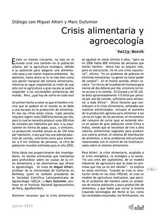 julio 2013
1
Diálogo con Miguel Altieri y Marc Dufumier
Crisis alimentaria y
agroecología
Sally Burch
Existe un interés creciente, no solo en el
mundo rural sino también en la población
urbana, por la agricultura ecológica, debido
a su potencial para asegurar una alimenta-
ción sana y con menor impacto ambiental. No
obstante, hasta ahora se lo ve más bien como
una opción marginal del sistema alimentario,
mientras se sigue imponiendo la visión de que
sólo con la agricultura a gran escala se podría
responder a las necesidades alimenticias del
mundo. Pero, ¿qué hay de cierto en todo eso?
Un primer hecho a notar es que el hambre cró-
nica que se padece en el mundo no se debe
a una escasez en la producción de alimentos.
En eso las cifras están claras. Cada persona
requiere ingerir unas 2200 kilocalorías por día,
para lo cual se necesita producir unos 200 kilos
de cereales por habitante por año, o su equi-
valente en forma de papa, yuca, o similares.
La producción mundial actual es de 330 kilos
por habitante, o sea que hay una sobreproduc-
ción de comida, suficiente como para alimen-
tar a 9 mil millones de personas, la cifra de
población mundial estimada para el año 2050.
Estos datos nos proporcionaron dos investiga-
dores, en sendas entrevistas que realizamos
para profundizar sobre las causas de la cri-
sis alimentaria y las alternativas que ofrece
la agroecología. Se trata de Miguel Altieri,
profesor de la Universidad de California en
Berkeley, quien es también presidente de
la Sociedad Científica Latinoamericana de
Agroecología -SOCLA-; y Marc Dufumier, pro-
fesor en el Instituto Nacional Agroeconómico
de París, AgroParisTech.
Dufumier reconoce que la crisis alimentaria
se agudizó en estos últimos 4 años, “pero ya
en 2006 había 800 millones de personas que
tenían hambre. Ahora hay un poquito más,
pero es estructural, no es una crisis coyuntu-
ral”, afirma: “es un problema de pobreza en
términos monetarios. La gente no tiene poder
de compra”. En el mismo sentido, Altieri re-
calca: “un tercio de la población humana gana
menos de dos dólares por día, entonces no tie-
ne acceso a la comida. En Europa y en EE.UU.
se bota aproximadamente 115 kilos por perso-
na por año de comida, suficiente para alimen-
tar a toda África”. Otros factores que con-
tribuyen a la crisis alimentaria, señalados por
nuestros entrevistados, incluyen el aumento
de la producción agrícola para alimentar a los
carros en lugar de las personas; el incremento
del consumo de carne (que se extiende aho-
ra en países de gran población como China e
India), siendo que se necesitan de tres a diez
calorías alimenticias vegetales para producir
una caloría animal; el sistema de distribución
de alimentos, y otros problemas estructurales
relacionados con el control de las multinacio-
nales sobre el sistema alimentario.
Para Altieri, la crisis alimentaria, acoplada a
la crisis energética, la ecológica y la social,
“es una crisis del capitalismo, de un modelo
industrial de agricultura que se basó en pre-
misas que hoy ya no son válidas”. Lo explica
en estos términos: “cuando se crea la revo-
lución verde en los años 1950-60, se crea un
modelo de agricultura maltusiano, que perci-
be el problema del hambre como un proble-
ma de mucha población y poca producción de
alimentos; y que había que cerrar la brecha
trayendo tecnologías del Norte al Sur, como
las variedades mejoradas, los fertilizantes, los
 