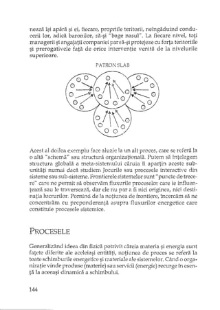 neaza îsi apara si ei, fiecare, propriile teritorii, net.'gaduind condu-
cerii lor, adica baronilor, sa-si "bage nasu]". La fiecare nivel, toti
managerii si artgajatii companiei par sa-si protejeze cu forta teritoriile
si prerogativele fata de orice interventie venita de la nivelurile
superioare.
PATRON SLAB
Acest al doilea exemplu face aluzie la un alt proces, care se refera la
o alta "schema" sau structura organizationala. Putem sa întelegem
sh"uctura globala a meta-sistemului caruia îi apartin aceste sub-
unitati numai daca studierrl Jocurile sau procesele interactive din
sisteme sau sub-sisteme. Frontierele sistemelor sunt" puncte de trece-
re" care ne permit sa observam fluxurile proceselor care le influen-
teaza sau le traverseaza, dar ele nu par a fi nici originea, nici desti-
natia lucrurilor. Pornind de la no:tiunea de frontiere, încercam sa ne
concentram cu preponderenta asupra fluxurilor 2nergetice care
constitLde procesele sisternice.
PROCESELE
Generalizând ideea din fizica potrivit careia materia si energia sunt
fatete diferite ale aceleiasi entitati, notiunea de proces se refera la
toate schimburile energetice siInateriale ale sistemelor. Când o orga-
nizatie vinde produse (materie) sau servicii (energie) recmge în esen-
ta la aceeasi dinamica a schimbului.
144
 