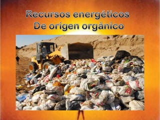 Recursos energéticos De origen orgánico