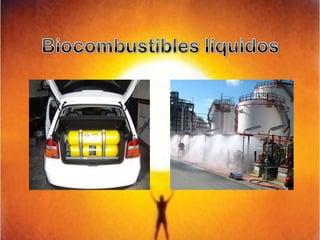 Biocombustibles líquidos
