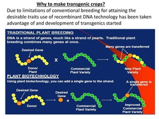 5
Why to make transgenic crops?
Due to limitations of conventional breeding for attaining the
desirable traits use of recombinant DNA technology has been taken
advantage of and development of transgenics started
 
