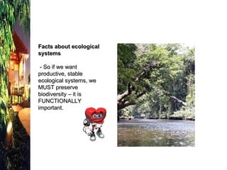 Facts about ecological systems   - So if we want productive, stable ecological systems, we MUST preserve biodiversity – it is FUNCTIONALLY important. 