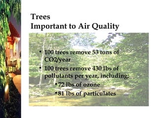 100 trees remove 53 tons of CO2/year 100 trees remove 430 lbs of pollutants per year, including: 72 lbs of ozone 81 lbs of particulates Trees  Important to Air Quality 