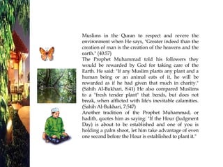 Muslims in the Quran to respect and revere the environment when He says, "Greater indeed than the creation of man is the creation of the heavens and the earth." (40:57)  The Prophet Muhammad told his followers they would be rewarded by God for taking care of the Earth. He said: "If any Muslim plants any plant and a human being or an animal eats of it, he will be rewarded as if he had given that much in charity." (Sahih Al-Bukhari, 8:41) He also compared Muslims to a "fresh tender plant" that bends, but does not break, when afflicted with life's inevitable calamities. (Sahih Al-Bukhari, 7:547)  Another tradition of the Prophet Muhammad, or hadith, quotes him as saying: "If the Hour (Judgment Day) is about to be established and one of you is holding a palm shoot, let him take advantage of even one second before the Hour is established to plant it." 
