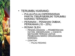 TERUMBU KARANG: PULAU-PULAU DIPERSISIRAN PANTAI TIMUR MEMILIKI TERUMBU KARANG TERINDAH. PERANAN – PENAHAN OMBAK, PERIKANAN (10 – 25%) ROSAK OLEH: PENGELODAKAN    PEMBERSIHAN HUTAN. (KEKERUHAN    CAHAYA MATAHARI TERHAD UNTUK PEMBIAKAN MIKRO ORGANIASMA KARANG). CONTOH: PULAU REDANG 