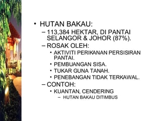 HUTAN BAKAU: 113,384 HEKTAR, DI PANTAI SELANGOR & JOHOR (87%). ROSAK OLEH: AKTIVITI PERIKANAN PERSISIRAN PANTAI. PEMBUANGAN SISA. TUKAR GUNA TANAH. PENEBANGAN TIDAK TERKAWAL. CONTOH: KUANTAN, CENDERING HUTAN BAKAU DITIMBUS 