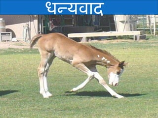 धन्यवाद  