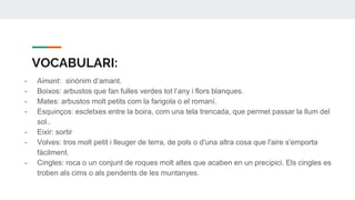 VOCABULARI:
- Aimant: sinònim d’amant.
- Boixos: arbustos que fan fulles verdes tot l’any i flors blanques.
- Mates: arbustos molt petits com la farigola o el romaní.
- Esquinços: escletxes entre la boira, com una tela trencada, que permet passar la llum del
sol..
- Eixir: sortir
- Volves: tros molt petit i lleuger de terra, de pols o d'una altra cosa que l'aire s'emporta
fàcilment.
- Cingles: roca o un conjunt de roques molt altes que acaben en un precipici. Els cingles es
troben als cims o als pendents de les muntanyes.
 