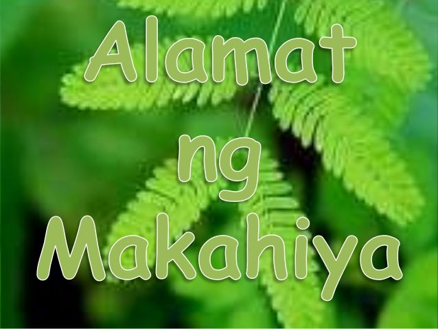 the feasibility of makahiya edited the feasibility of makahiya edited