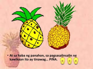 • At sa haba ng panahon, sa pagsasalinsalin ng
kawikaan ito ay tinawag… PIÑA.
 