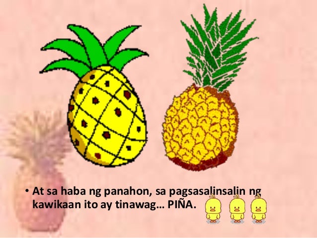 pagsusuri sa alamat ng pinya Alamat ng pinya - download as word doc (doc / docx), pdf file (pdf), text file (txt) or read online. pagsusuri sa alamat ng pinya Alamat ng pinya - download as word doc (doc / docx), pdf file (pdf), text file (txt) or read online.