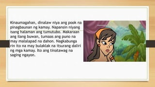 Kinaumagahan, dinalaw niya ang pook na
pinagbaunan ng kamay. Napansin niyang
isang halaman ang tumutubo. Makaraan
ang ilang buwan, tumaas ang puno na
may malalapad na dahon. Nagkabunga
rin ito na may bulaklak na itsurang daliri
ng mga kamay. Ito ang tinatawag na
saging ngayon.
i
 