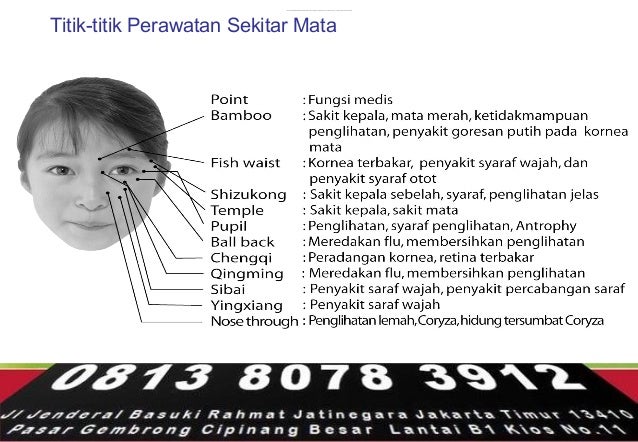 Alamat toko penjual alat pijat terapi kesehatan mata 