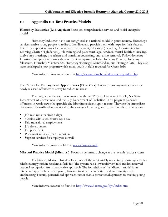 Alameda countyyouthreentryblueprint2010 finalpart3