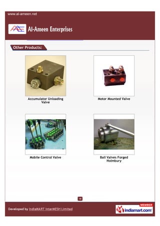 Other Products:




       Accumulator Unloading        Motor Mounted Valve
              Valve




        Mobile Control Valve         Ball Valves Forged
                                          Holmbury




                               18
 