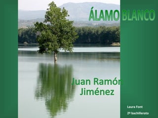 ÁLAMO BLANCO  Juan Ramón  Jiménez  Laura Font 2º bachillerato 