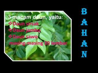 B
a
h
a
n
3 macam daun, yaitu:
Daun sirsak
Daun jambu
Daun sawo
masing-masing 20 lembar.
 