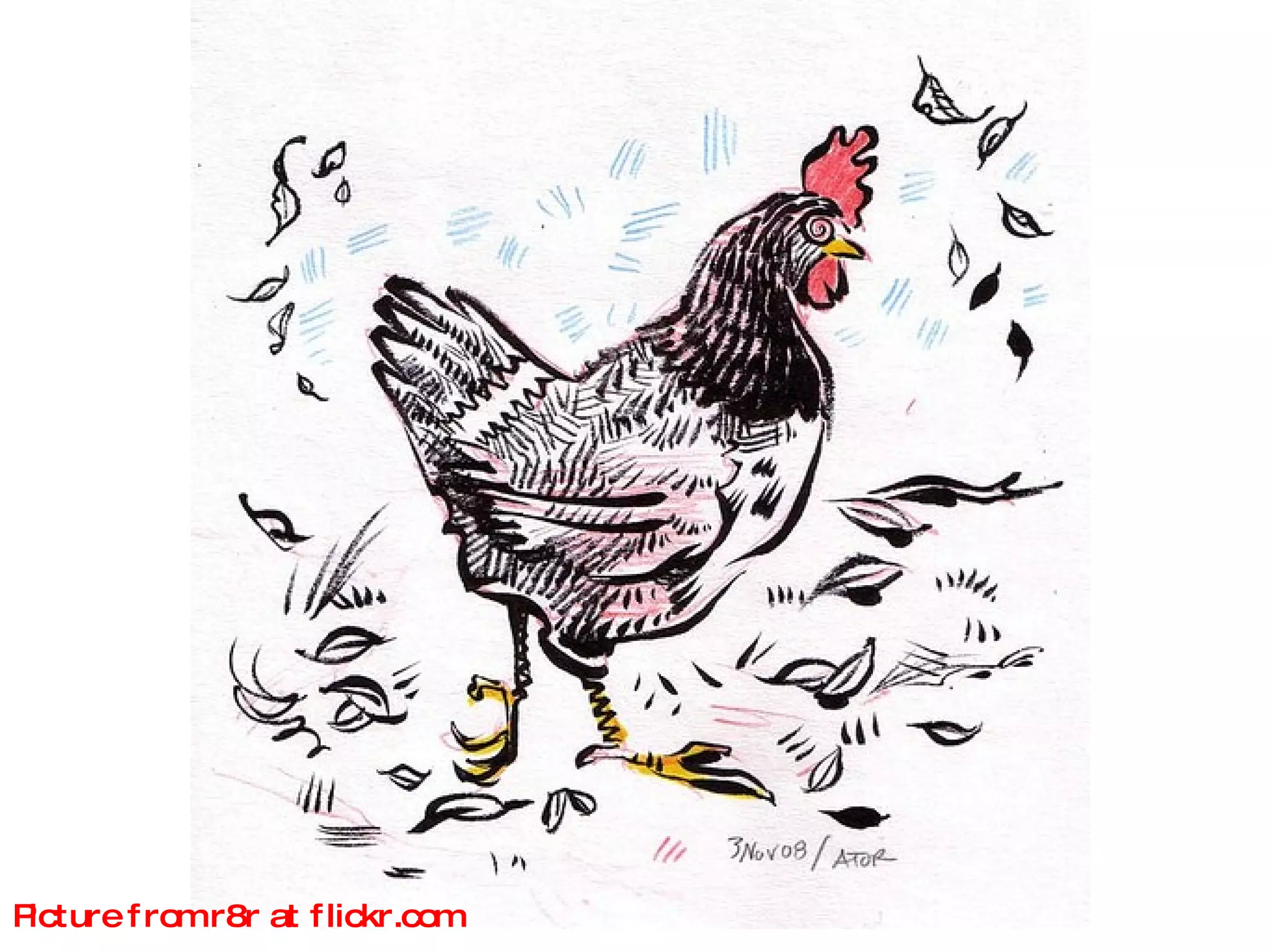 Picture from r8r at flickr.com 