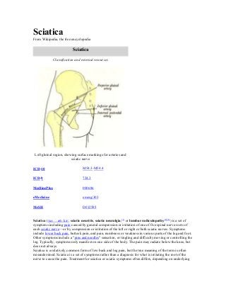 Sciatica
From Wikipedia, the free encyclopedia

Sciatica
Classification and external resources

Left gluteal region, showing surface markings for arteries and
sciatic nerve
ICD-10

M54.3-M54.4

ICD-9

724.3

MedlinePlus

000686

eMedicine

emerg/303

MeSH

D012585

Sciatica (/saɪ ˈ
ætɪ kə/; sciatic neuritis, sciatic neuralgia,[1] or lumbar radiculopathy[2][3]) is a set of
symptoms including pain caused by general compression or irritation of one of five spinal nerve roots of
each sciatic nerve—or by compression or irritation of the left or right or both sciatic nerves. Symptoms
include lower back pain, buttock pain, and pain, numbness or weakness in various parts of the leg and foot.
Other symptoms include a "pins and needles" sensation, or tingling and difficulty moving or controlling the
leg. Typically, symptoms only manifest on one side of the body. The pain may radiate below the knee, but
does not always.
Sciatica is a relatively common form of low back and leg pain, but the true meaning of the term is often
misunderstood. Sciatica is a set of symptoms rather than a diagnosis for what is irritating the root of the
nerve to cause the pain. Treatment for sciatica or sciatic symptoms often differs, depending on underlying

 