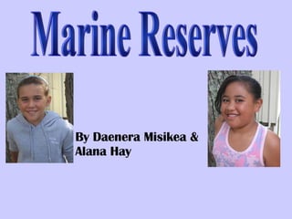 Marine Reserves By Daenera Misikea & Alana Hay 