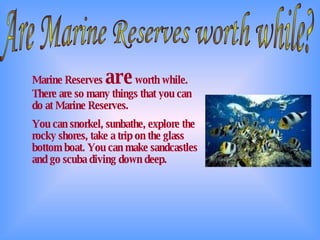 Are Marine Reserves worth while? Marine Reserves  are  worth while. There are so many things that you can do at Marine Reserves.  You can snorkel, sunbathe, explore the rocky shores, take a trip on the glass bottom boat. You can make sandcastles and go scuba diving down deep. 