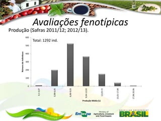 Avaliações fenotípicas

Produção (Safras 2011/12; 2012/13).
600

Total: 1292 ind.

400

300

200

100

Produção Média (L)

17,98-20,96

15,01-17,98

12,03-15

9,04-12,02

6,06-9,03

3,08-6,05

0
0,1-3,07

Número de indivíduos

500

 