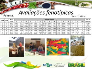 Avaliações fenotípicas

Peneira.
Linha Planta

Total: 1292 ind.

Peneiras (gramas)

Peso
inicial

19

13

18

12

17

11

16

10

15

9

14

13

8

12

Final

Peso de
100 grãos

1

15

98,978

0,427

5,12

10,888

13,455

31,255

7,1

23,169

3,445

2,987

0,692

0,222

0,093

0,047

0

0

18,964

2

10

98,977

1,208

2,951

2,368

22,948

15,352

14,382

22,983

6,684

8,271

0,8

0,971

0,077

0

0

0

13,85

5

60

98,97

8,304

23,666

21,004

14,626

22,828

2,18

4,112

1,406

0,384

0,101

0,196

0

0

0

0

19,642

8

42

100

0,371

3,461

0,957

12,412

12,929

11,323

25,453

10,941

11,446

6,584

2,101

1,501

1,52

0,167

0

17,045

12

68

99,679

0,828

3,253

0,836

11,368

15,698

13,821

30,097

9,441

10,897

1,642

1,276

0,286

0,069

0

0

16,042

18

100

97,61

0,181

0

0,148

10,38

14,125

10,359

27,088

7,622

18,036

3,024

2,482

0,967

0,222

0,128

0,027

14,301

21

36

98,836

3,963

5,57

22,041

17,924

25,757

5,953

11,88

1,769

2,643

0,962

0,353

0,076

0

0

0,111

16,218

 